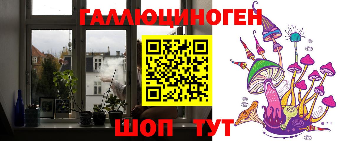 Галлюциногенные грибы Psilocybe  Псилоцибиновые грибы Psilocybe  Вход с VPN  Прохладный 