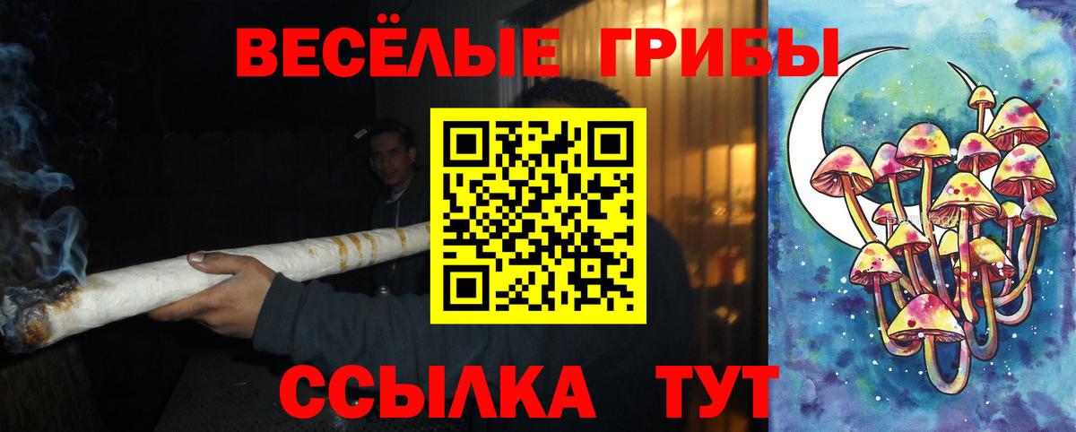 Галлюциногенные грибы Psilocybe Прохладный